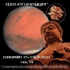 Cosmic Evolution, Vol. 3