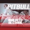 Maldito Alcohol (feat. Afrojack) - Pitbull & Afrojack lyrics