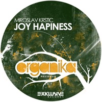Joy Happiness (Original Mix) - Single - Miroslav Krstic