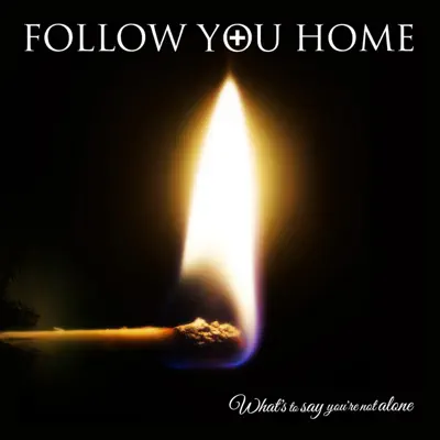 What's to Say You're Not Alone - Single - Follow You Home