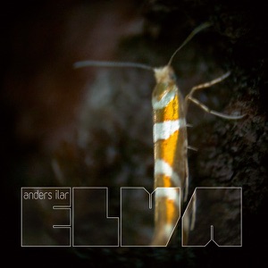 Elva