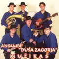 MUZIKAŠ