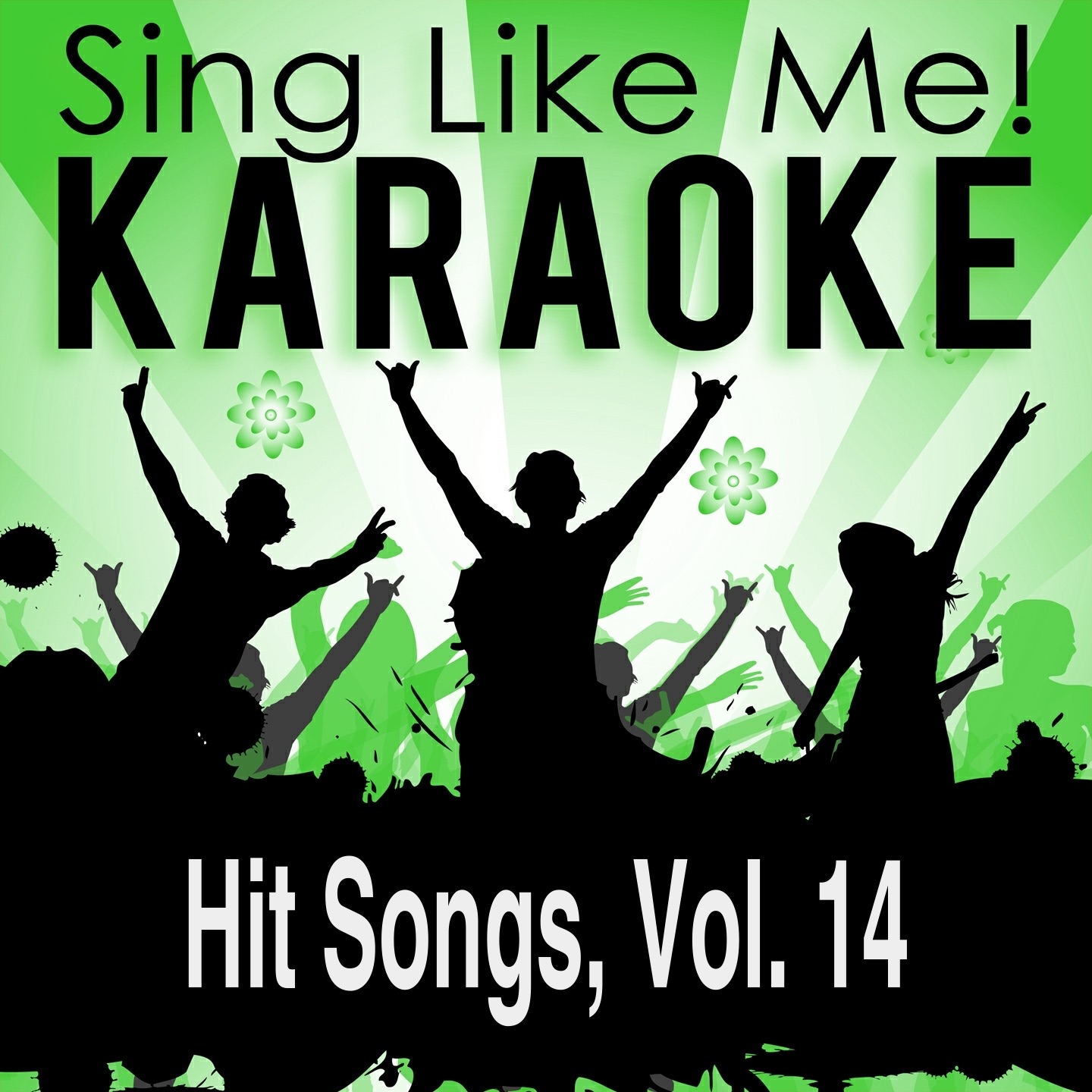 Hit Songs, Vol. 14 (Karaoke Version)