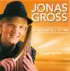 Jonas Gross - Mein Stern . Jonas Gross & Lisa Stoll, Alphorn