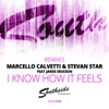 Marcello Calvetti & Stevan Star
