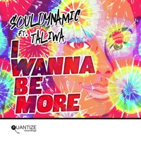 I Wanna Be More (feat. Taliwa) - Souldynamic