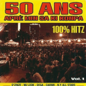 50 ans aprè min sa ki kompa, Vol. 1 (100% Hitz)
