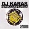 Face Control (Dj Karas Remix) [feat. Shena] - DJ Shevtsov lyrics