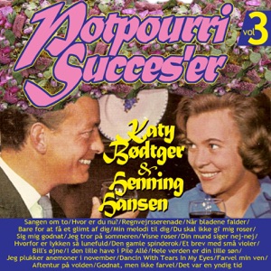 Potpourri Succes'er Vol. 3