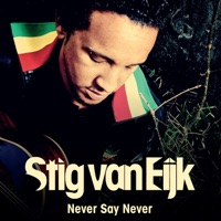 Never Say Never - Single - Stig Van Eijk