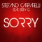 Sorry (EisKrim remix) - Stefano Carparelli lyrics