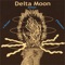 Cool Your Jets - Delta Moon lyrics