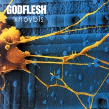 Godflesh - Xnoybis (Club Dub)