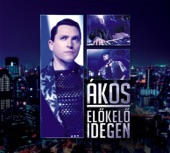 Előkelő Idegen artwork