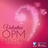 Valentine OPM Special Vol. 2, 2013