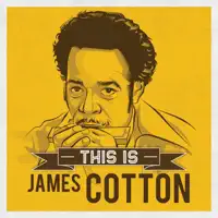Knock on Wood — James Cotton