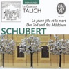 Schubert: Der Tod und das Mädchen artwork