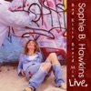 Sophie B. Hawkins - Did We Not Choose Each Other