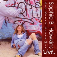 Sophie B. Hawkins - Did We Not Choose Each Other
