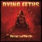 Subjected To a Beating - Dying Fetus lyrics