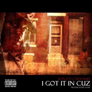 I Got It In Cuz - Single