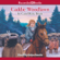 Carol Ryrie Brink - Caddie Woodlawn (Unabridged)