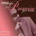 The Promise You Made