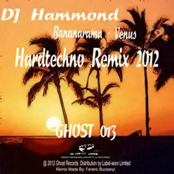 Venus (DJ Hammond Hardtechno Remix 2012) - Single - Bananarama