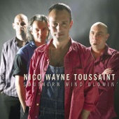Nico Wayne Toussaint - Southern Wind