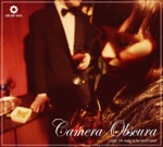 Camera Obscura - Roman holiday