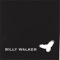Biography (Intro) - Billy Walker lyrics