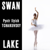 Swan Lake, Op. 20: No. 14, Scène. Moderato - Mariinsky Orchestra & Victor Fedotov