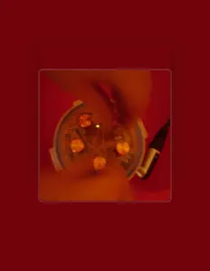 Posłuchaj wykonawcy C14, obejrzyj teledyski, przeczytaj biografię, zobacz daty tras koncertowych i nie tylko!