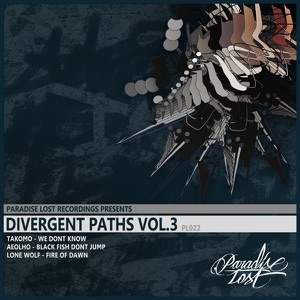 Divergent Paths Vol.3 - EP