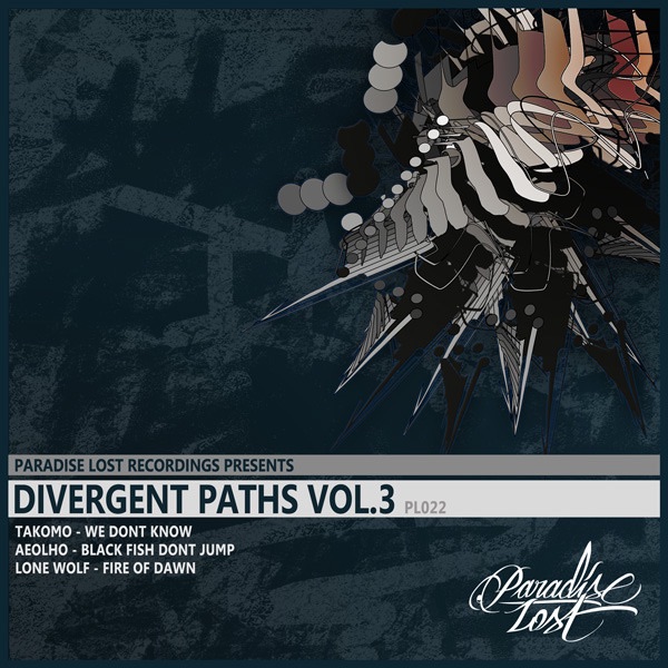 Divergent Paths Vol.3 - EP
