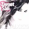 DOLASAYIM DAMARLARINDA (ZIYNET SALI)