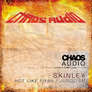 Junglism / Hot Like Fiyah - Single