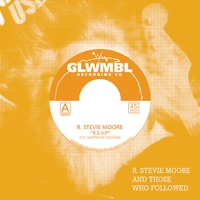 R. Stevie Moore and Those Who Followed, Vol. 2 - Single - R. Stevie Moore & Telethon