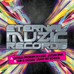 Problem Solvers (Jaydan Remix) / Snake Fist School - Single
