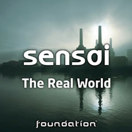 The Real world Sensai