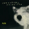 Surnatural Orchestra