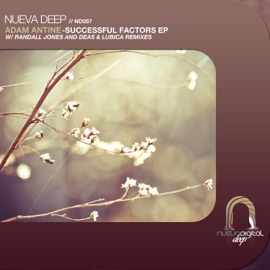 Successful Factors (Original Mix) Adam Antine