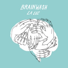 Brainwash - Single