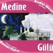 Medine Gülü artwork