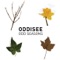 Chocolate City Dreaming - Oddisee lyrics