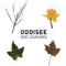 Sand to the Beach - Oddisee lyrics