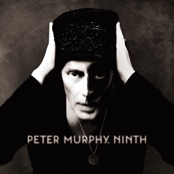 Cover artwork for Never Fall Out