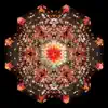 Gold Panda - We Work Nights