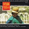 Viva South America