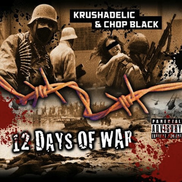 12 Days of War